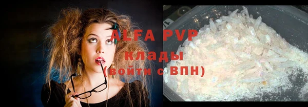 гашик Верея
