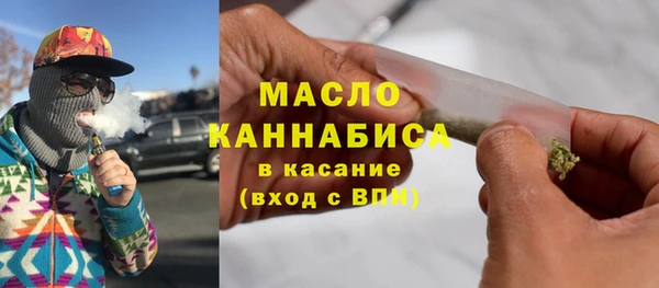 гашик Верея