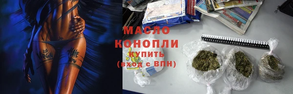 гашик Верея
