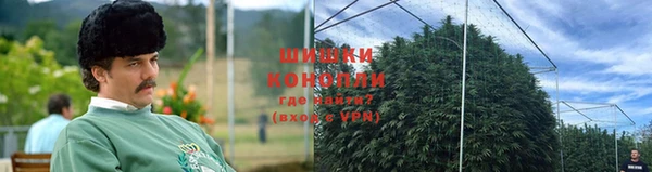 гашик Верея