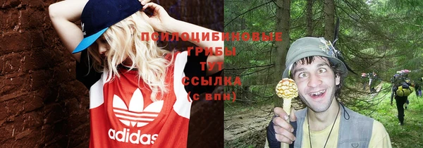 гашик Верея