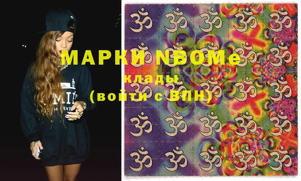 гашик Верея