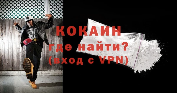гашик Верея