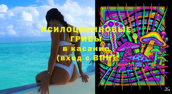 гашик Верея