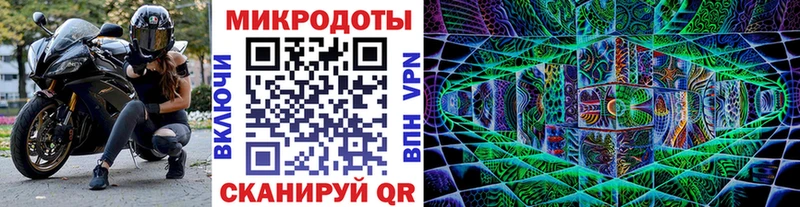 Купить где  Тихорецк  Галлюциногенные грибы Cubensis 